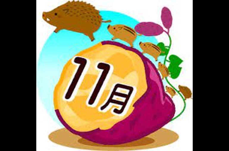 11月